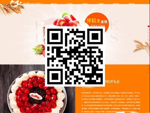 安庆市莎莉文食品 扫一扫 手机访问