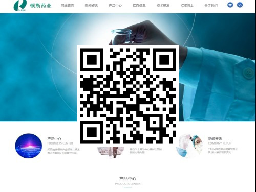 顿斯药业集团 扫一扫 手机访问
